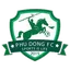 Logo Phù Đổng