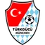 Logo Türkgücü-Ataspor