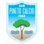 Logo Pineto