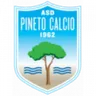 Logo Pineto