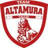 Logo Team Altamura