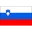 Logo Slovenia U19