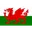 Logo Wales U19