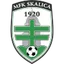 Logo Skalica
