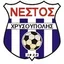 Logo Nestos Chrisoupolis