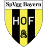 Logo Bayern Hof