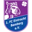 Logo Eintracht Bamberg