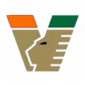 Logo Venezia U19