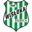 Logo Wisłoka Dębica