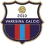 Logo Varesina