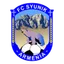 Logo Syunik