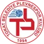 Logo Tokat Bld Plevnespor