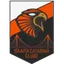 Logo Santa Catarina