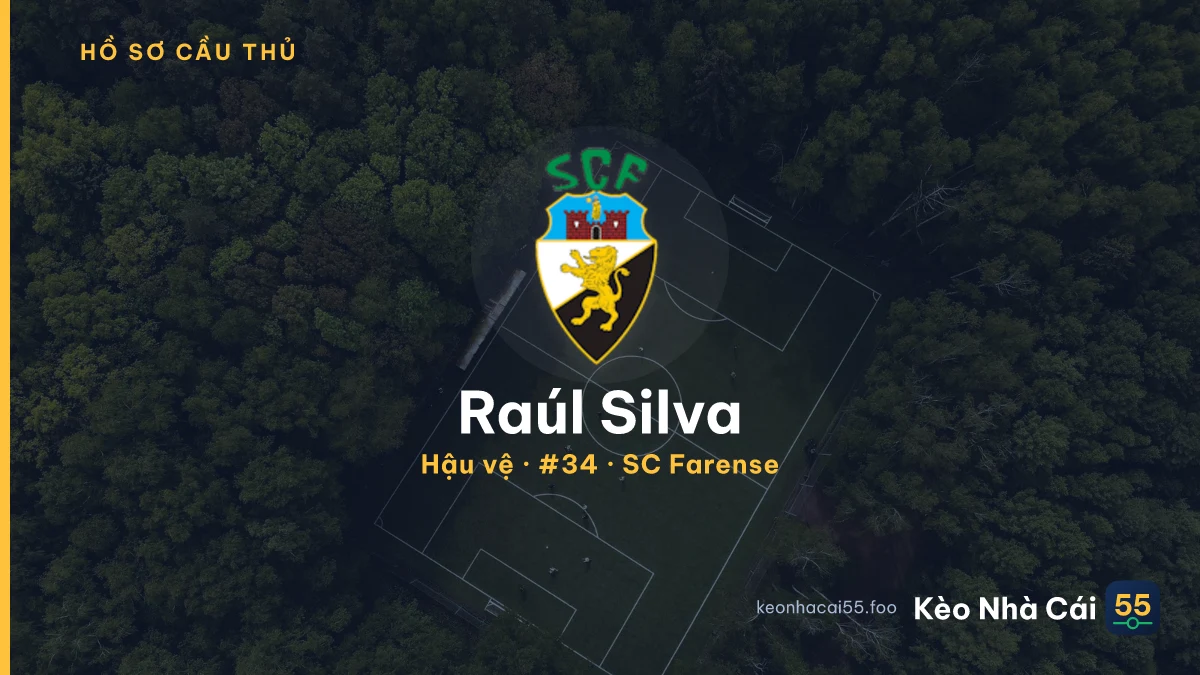 Raúl Silva — SC Farense