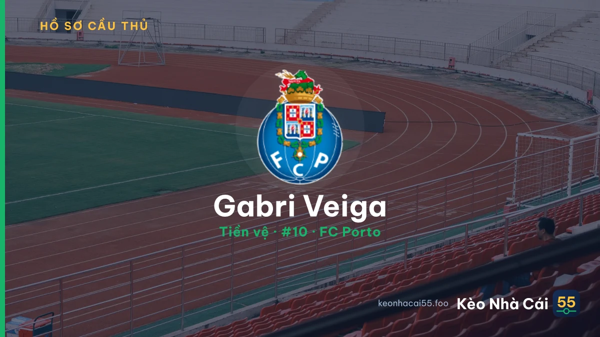Gabri Veiga — FC Porto