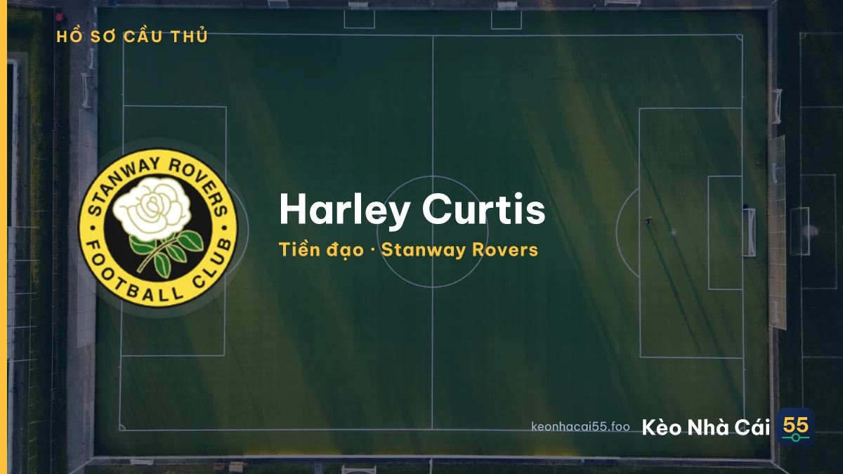 Harley Curtis — Stanway Rovers