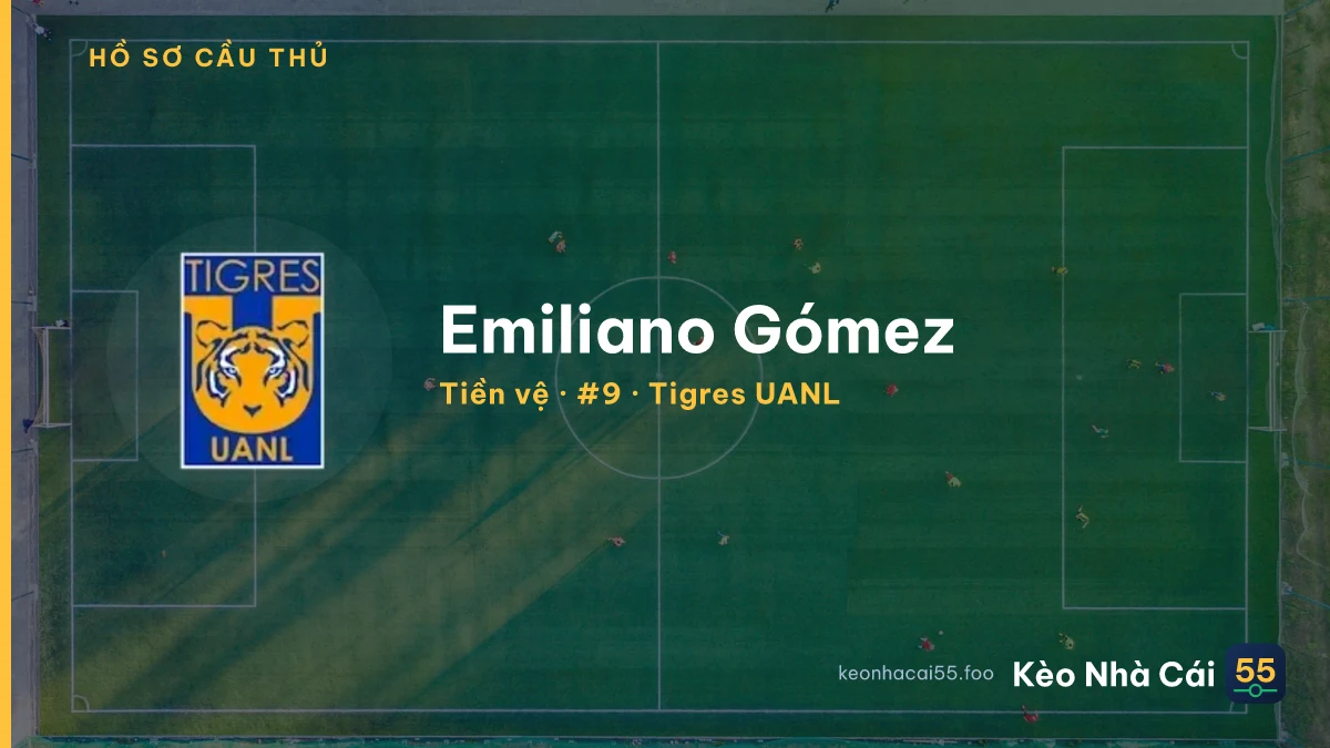 Emiliano Gómez — Tigres UANL