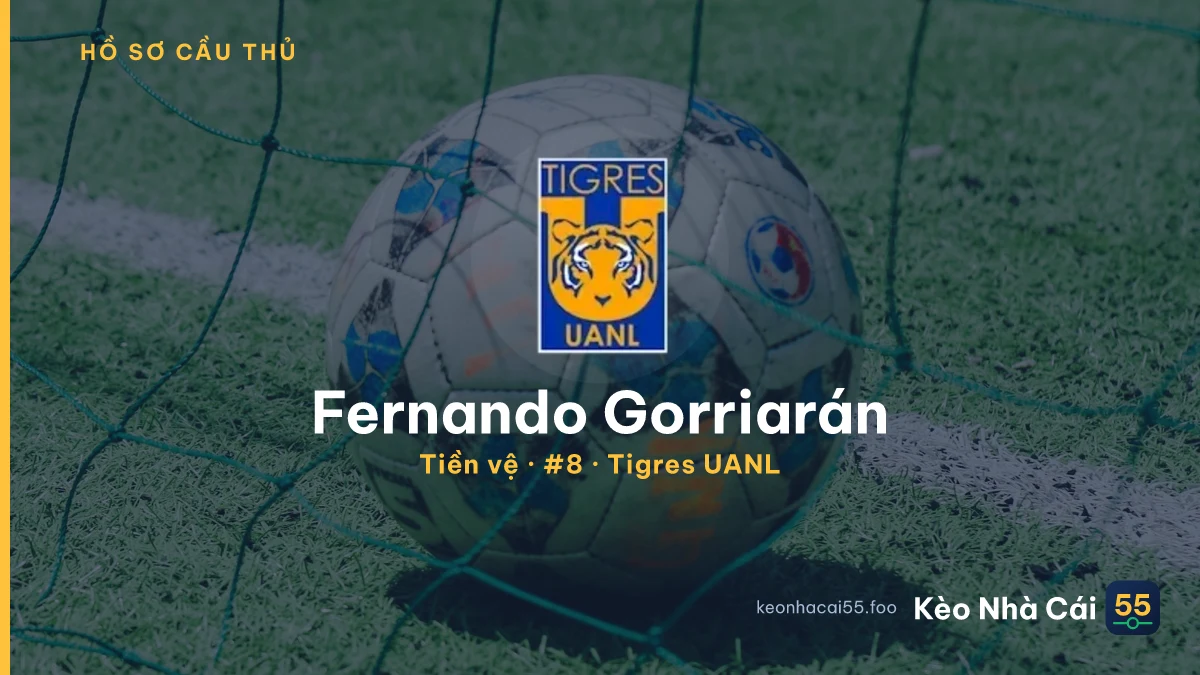 Fernando Gorriarán — Tigres UANL