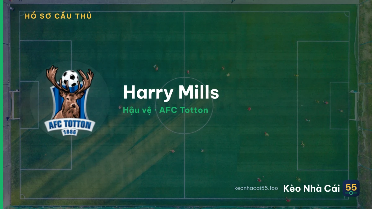 Harry Mills — AFC Totton