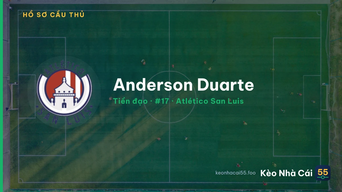 Anderson Duarte — Atlético San Luis