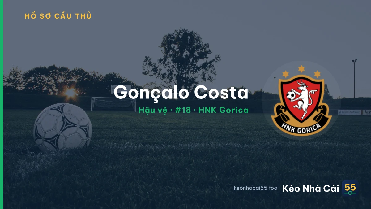 Gonçalo Costa — HNK Gorica