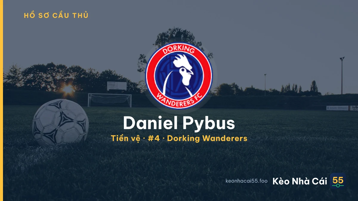 Daniel Pybus — Dorking Wanderers