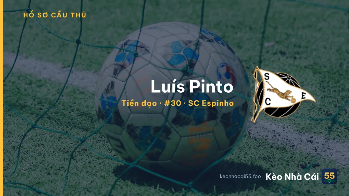 Luís Pinto — SC Espinho