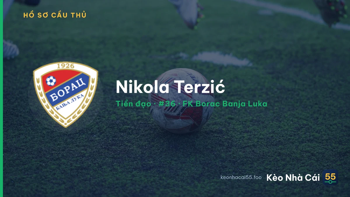 Nikola Terzić — FK Borac Banja Luka
