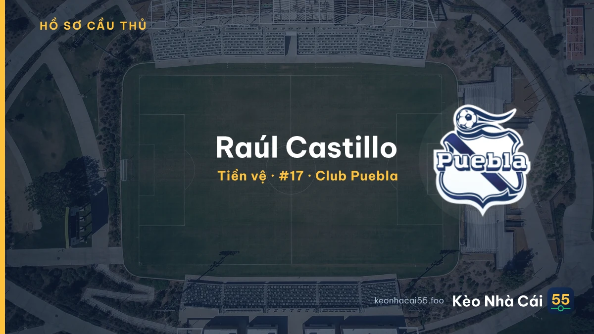 Raúl Castillo — Club Puebla