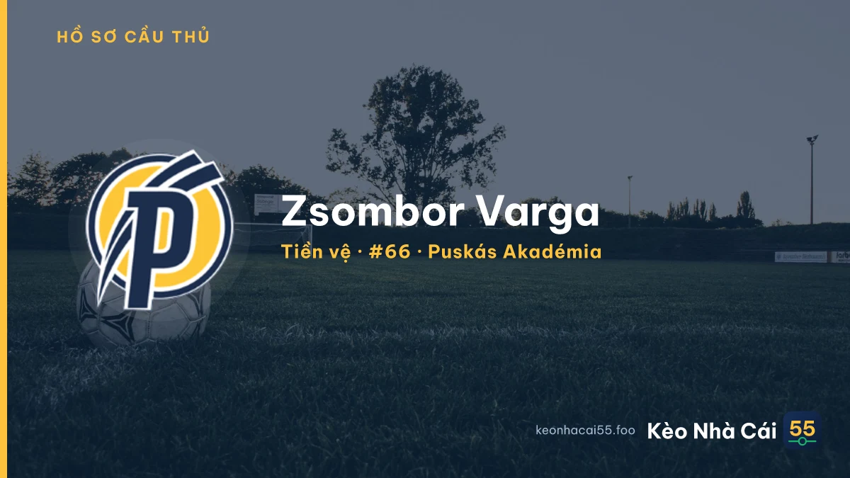 Zsombor Varga — Puskás Akadémia