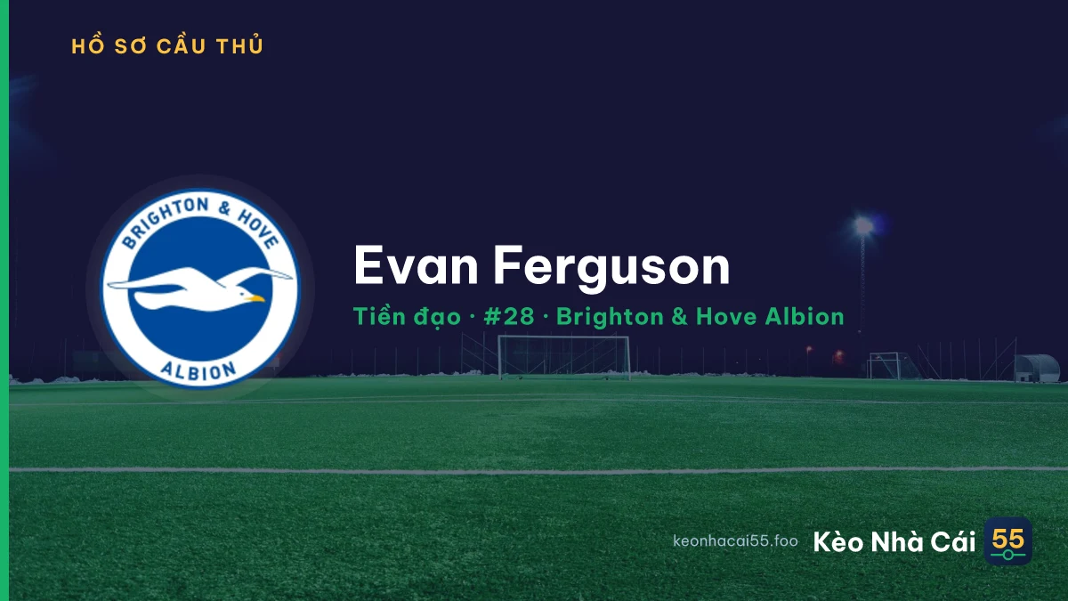Evan Ferguson — Brighton & Hove Albion