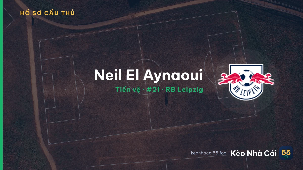 Neil El Aynaoui — RB Leipzig