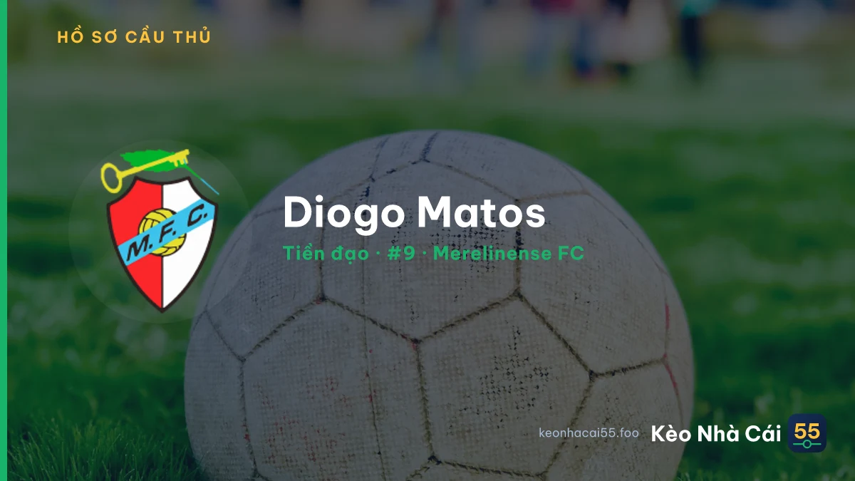 Diogo Matos — Merelinense FC