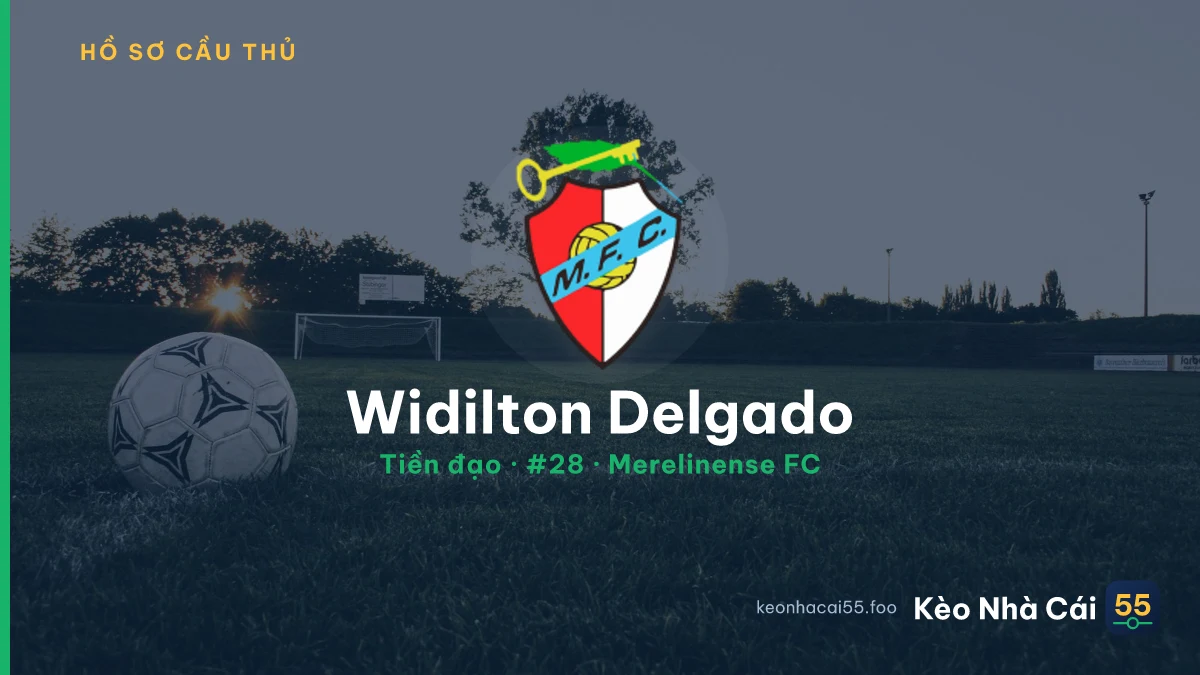 Widilton Delgado — Merelinense FC