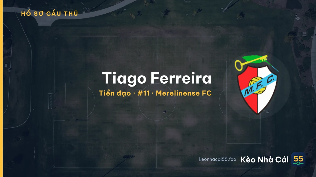 Tiago Ferreira — Merelinense FC