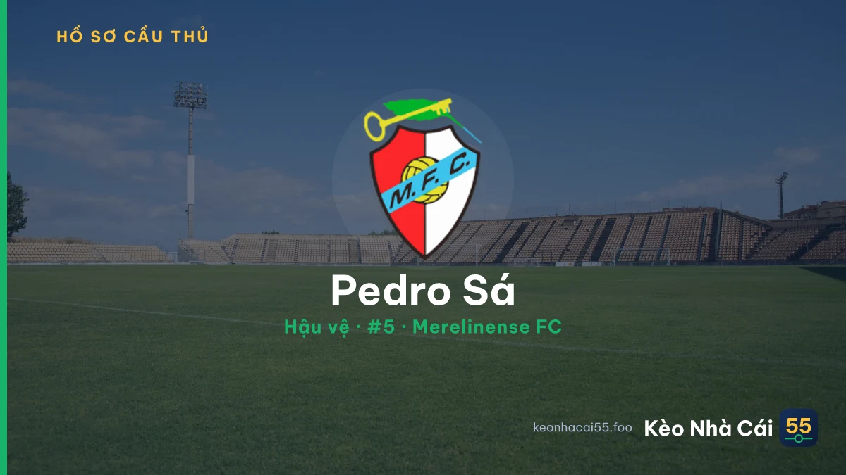 Pedro Sá — Merelinense FC
