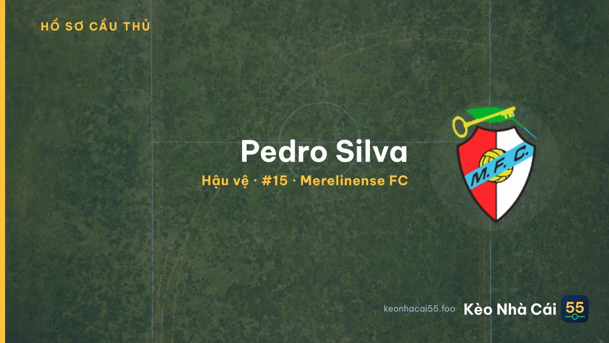 Pedro Silva — Merelinense FC