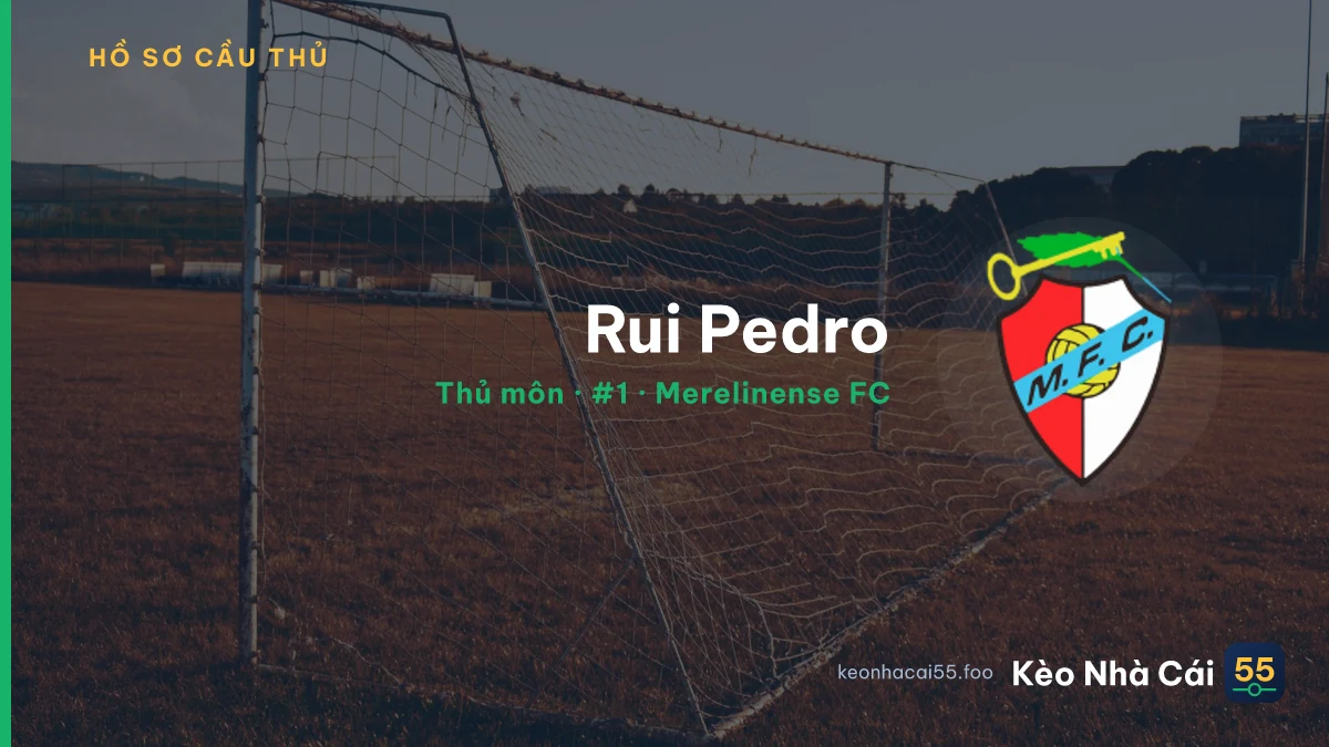 Rui Pedro — Merelinense FC