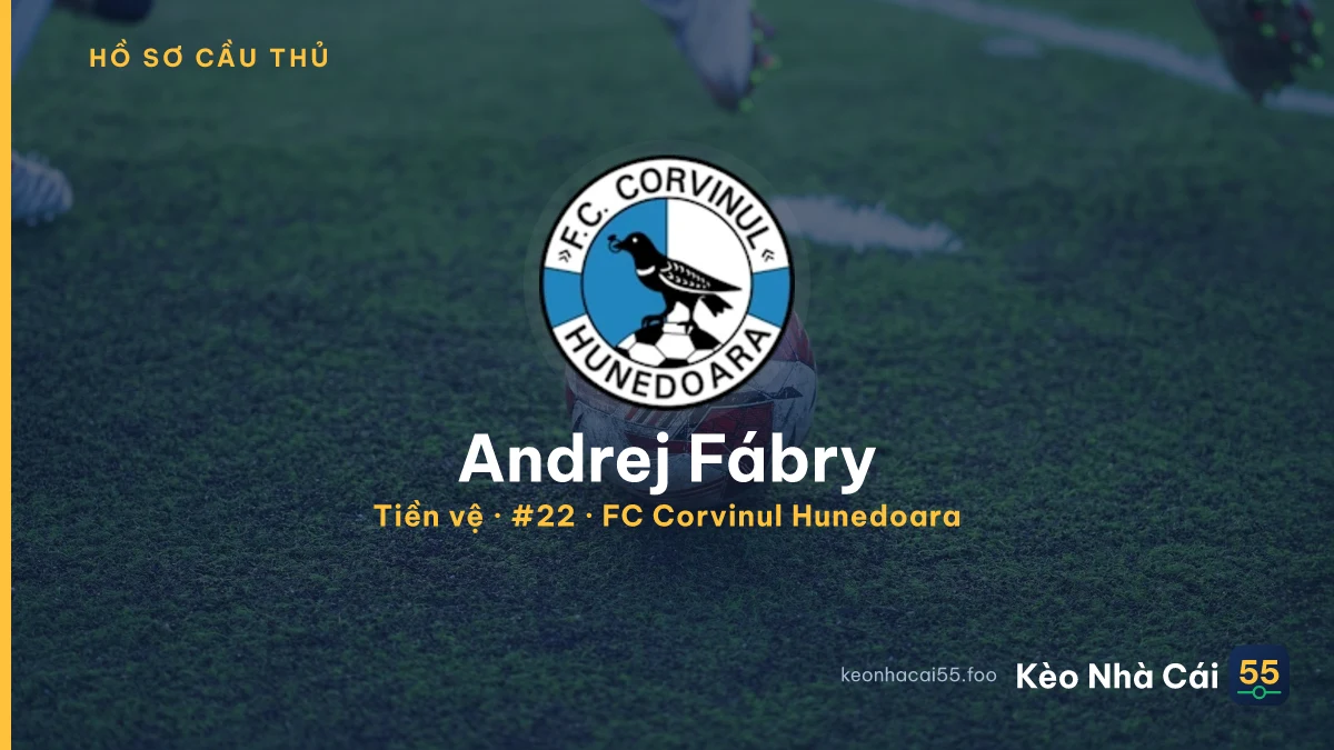 Andrej Fábry — FC Corvinul Hunedoara
