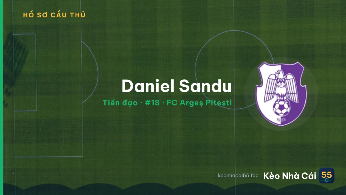 Daniel Sandu — FC Argeș Pitești