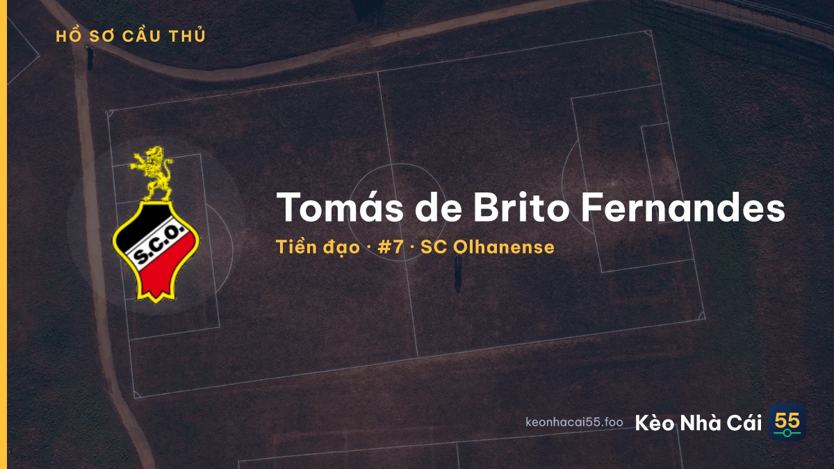 Tomás de Brito Fernandes — SC Olhanense