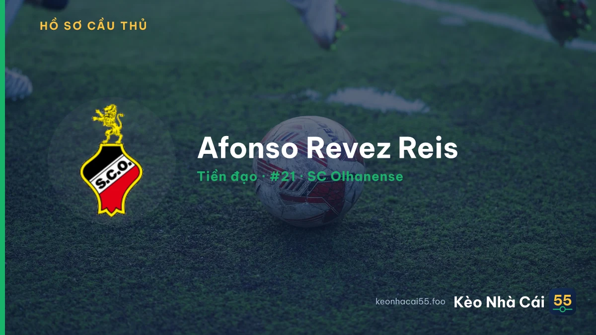Afonso Revez Reis — SC Olhanense