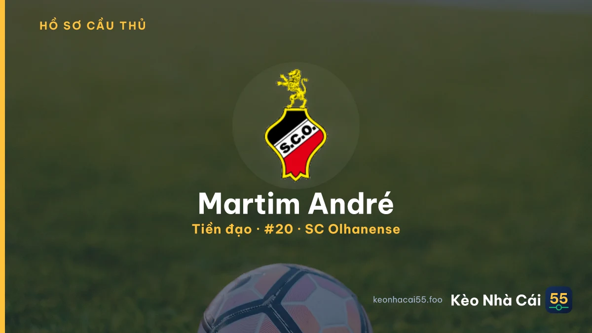 Martim André — SC Olhanense