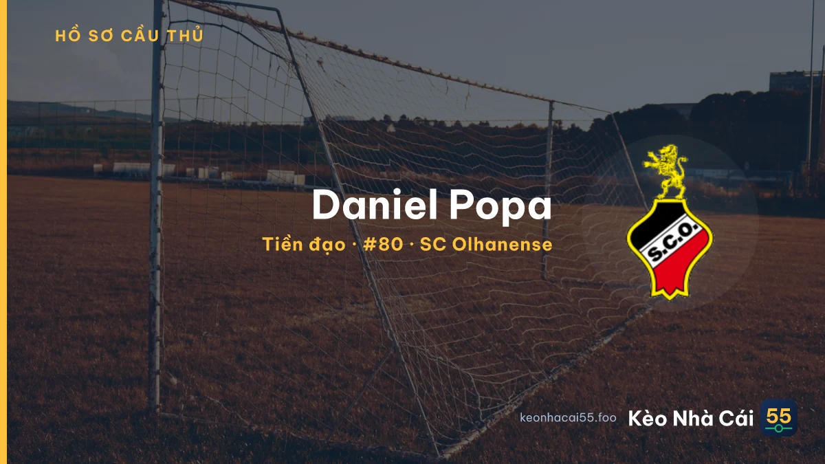 Daniel Popa — SC Olhanense