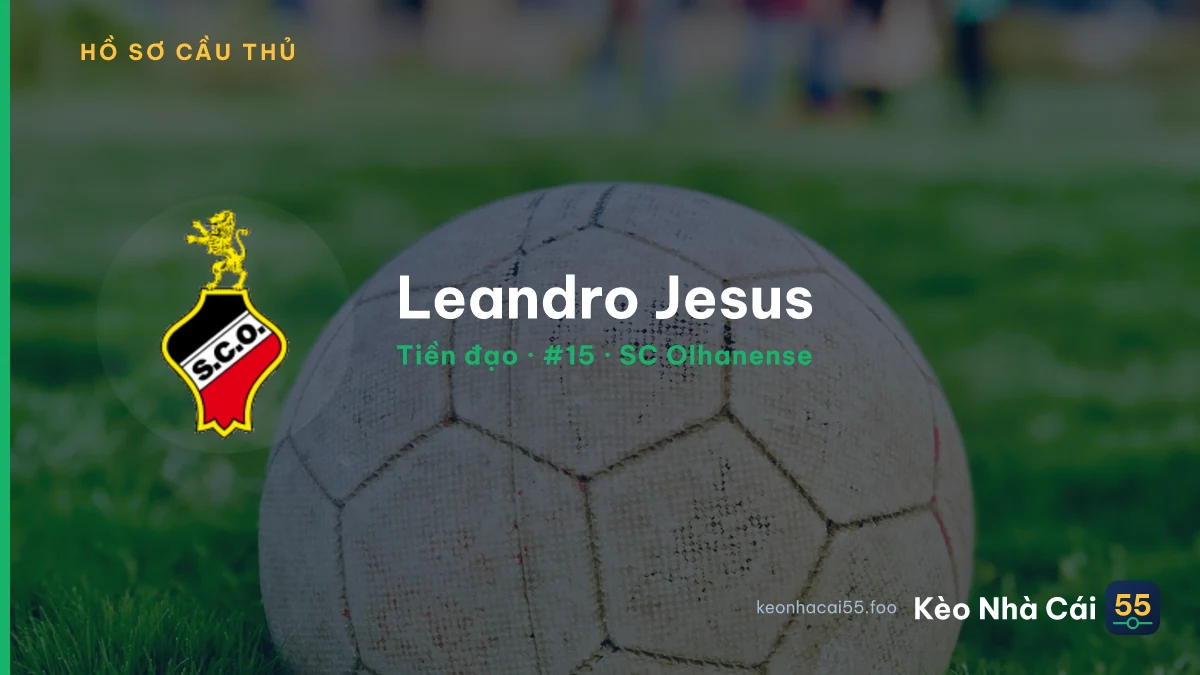 Leandro Jesus — SC Olhanense