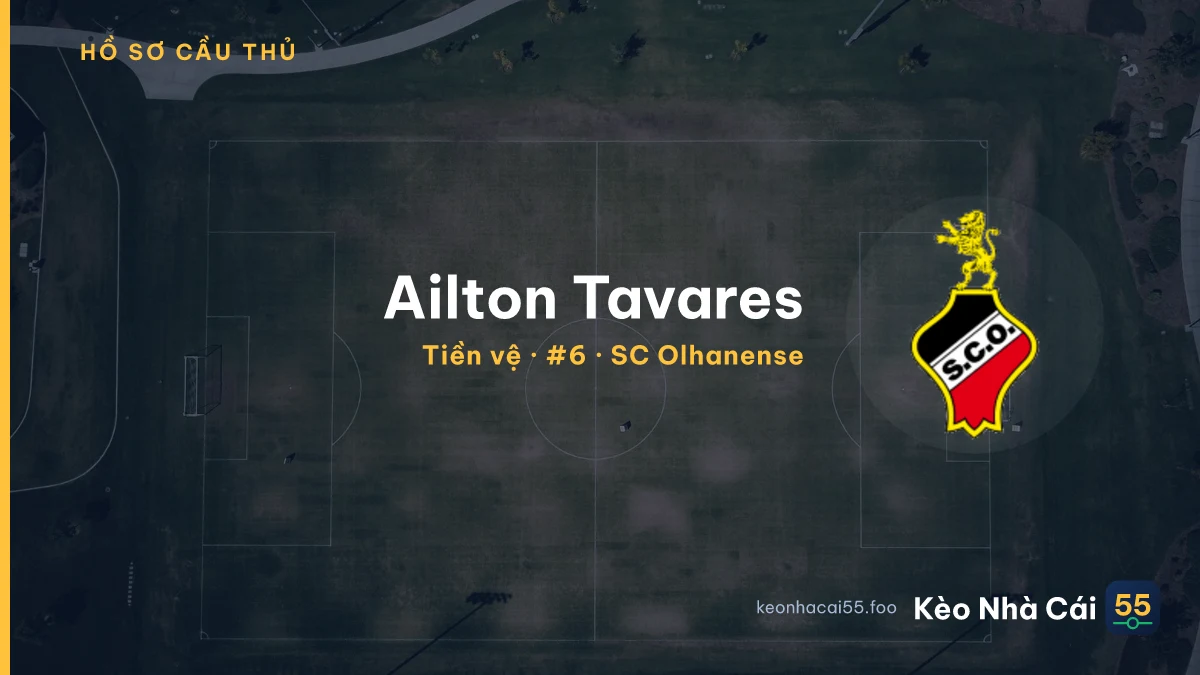 Ailton Tavares — SC Olhanense