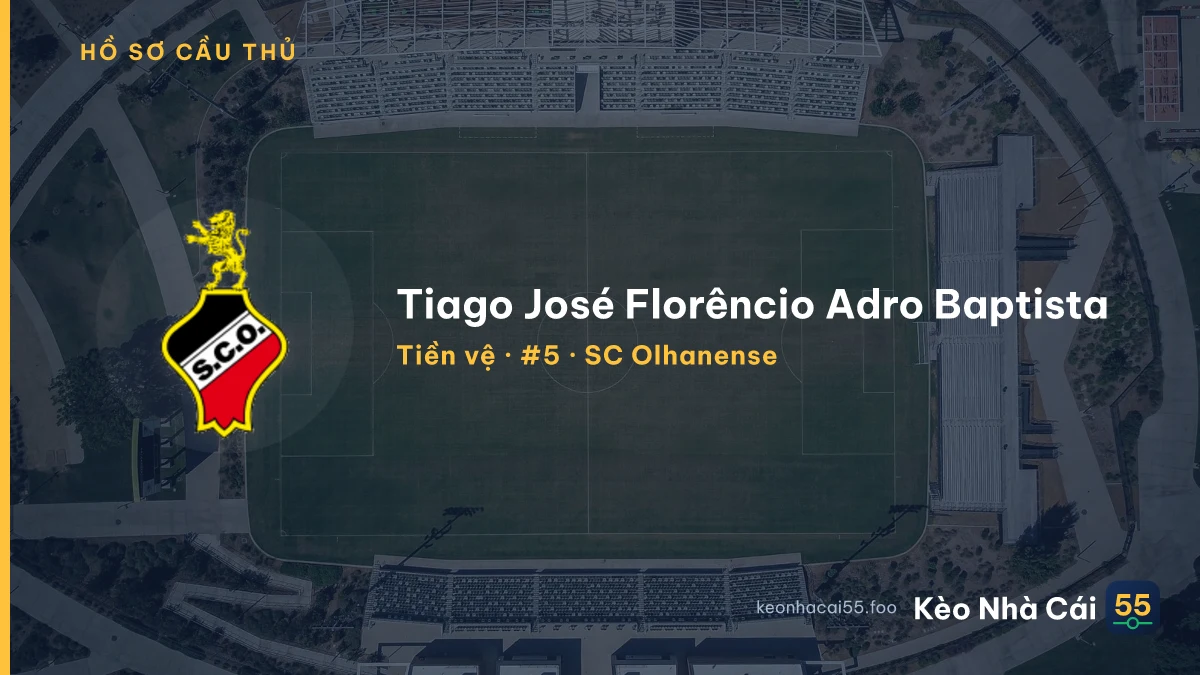 Tiago José Florêncio Adro Baptista — SC Olhanense
