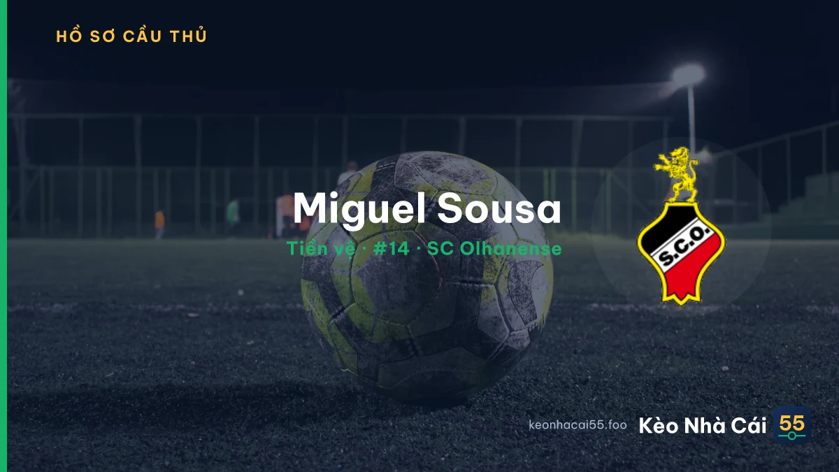 Miguel Sousa — SC Olhanense