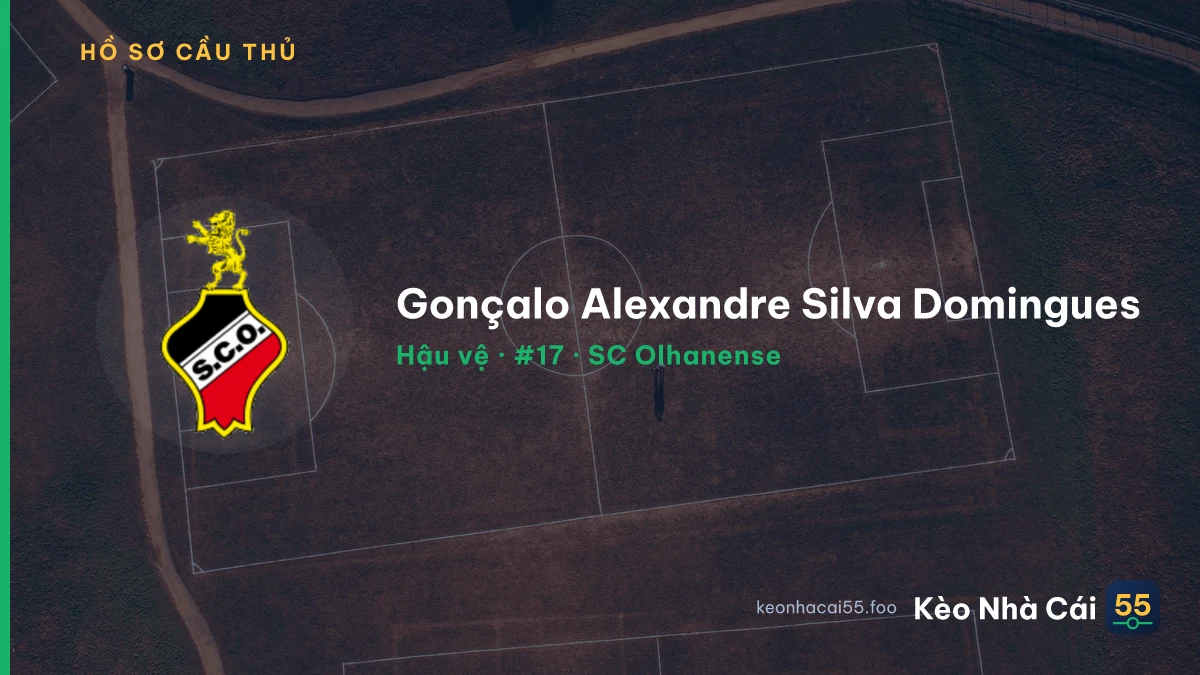 Gonçalo Alexandre Silva Domingues — SC Olhanense