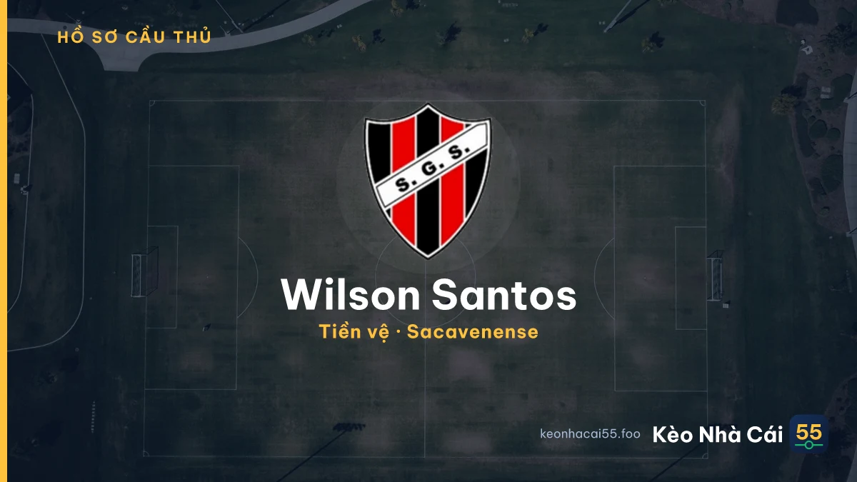 Wilson Santos — Sacavenense